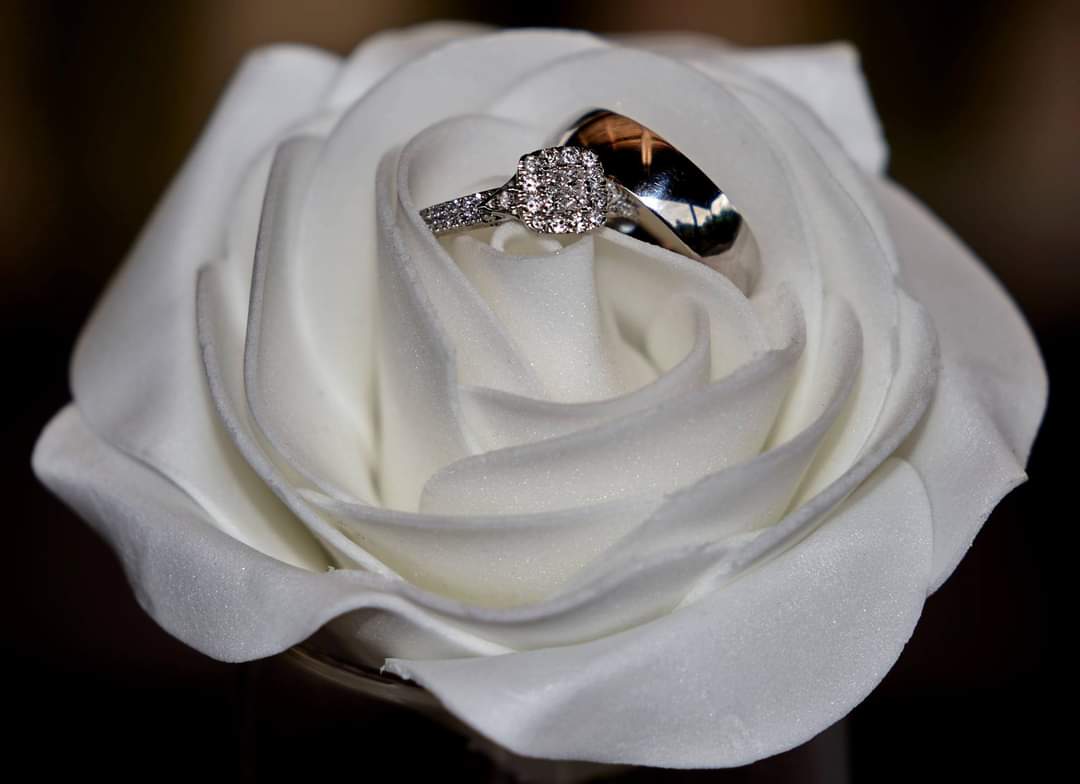Wedding Rings Set in a Rose